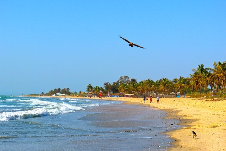 gambia-strand-hav-palmer-ferie-rejser