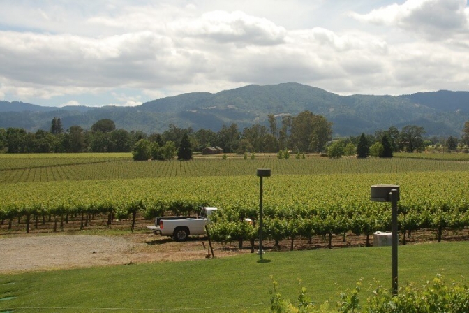 Califoriens uendelige vinmarker er billedskønne, og vinene kan nyde på små, lokale restauranter.