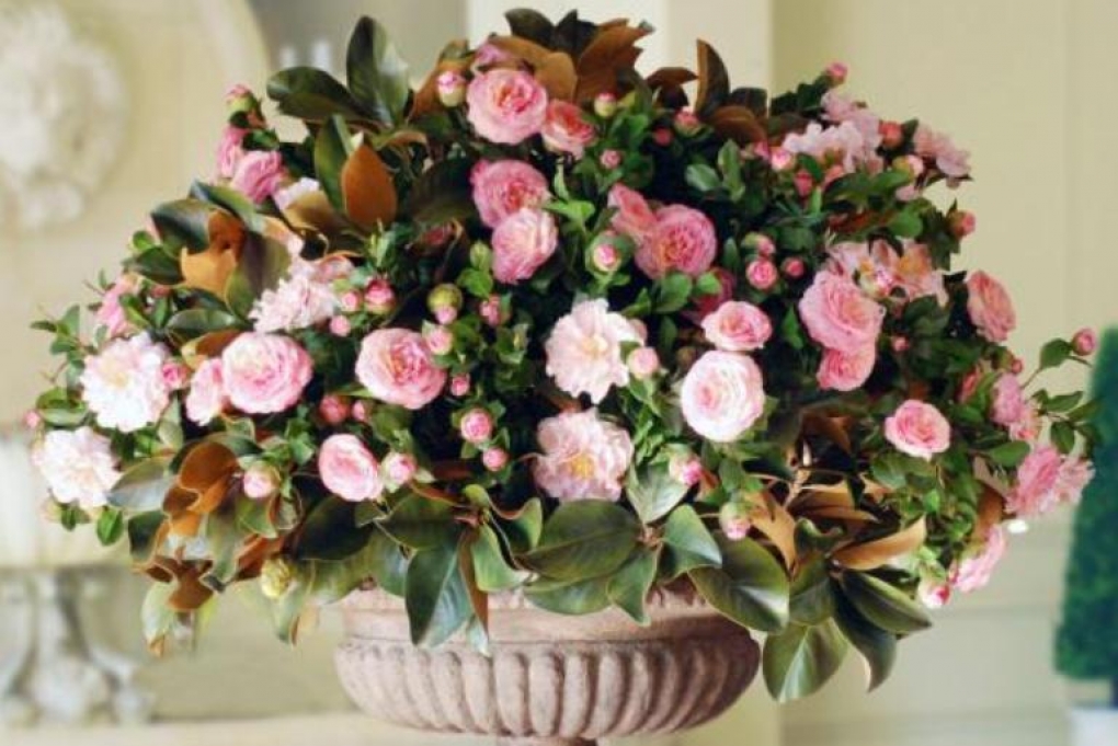 Kunstige blomster i stuen Stue blomster