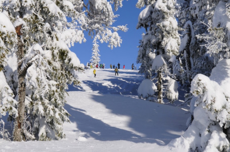 Lige nu er der masser af sne i Sverige, men stå på ski med omtanke.