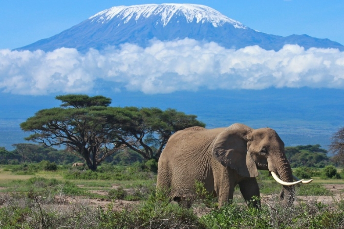 Safari på Aftikas store sletter er en ferie med mange oplevelser og store indtryk.