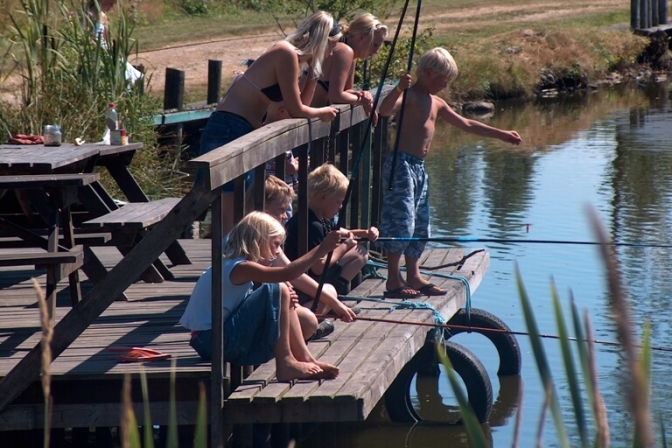 Børn elsker camping, og i Sydsverige får de store naturoplevelser med hjem.
