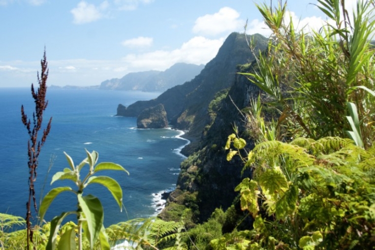 Madeira er en paradisk ø langt ude i Atlanterhavet.