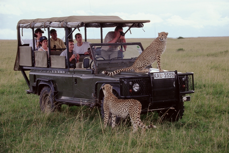safari i kenya
