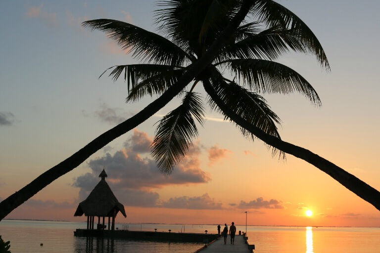 palmer-maldiverne-solnedgang