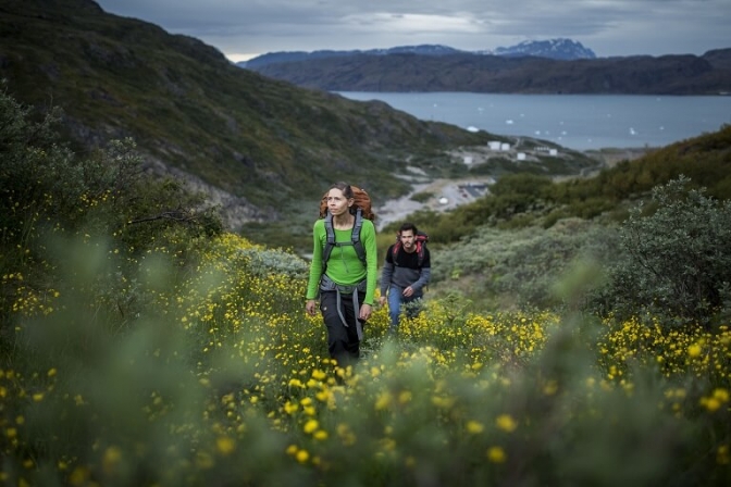 Den sydgrønlandske natur er smuk. 