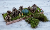 Lav din egen juledekoration - og brug det, der nu er i naturen