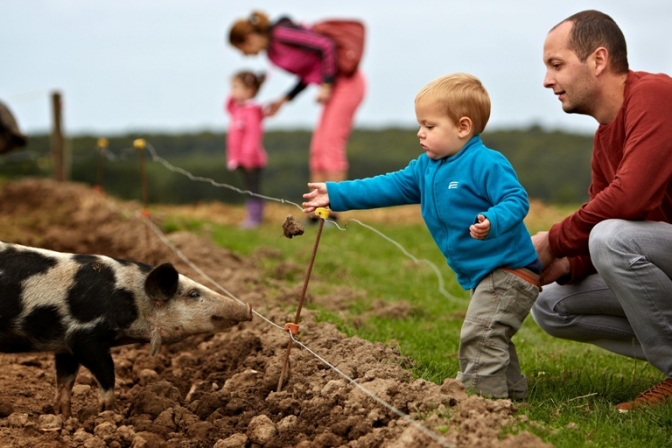 Økologisk Høstmarked blev sidste år besøgte af over 60.000 gæster.