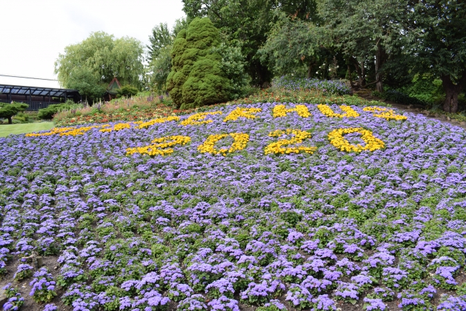 Blomster og underholdning i Jesperhus