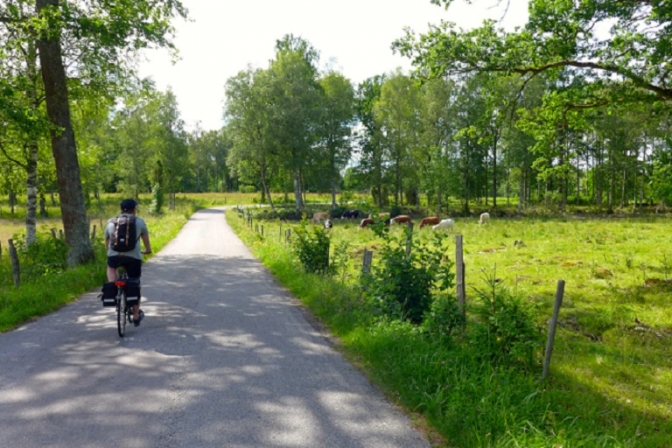 Sydkustleden i Sverige