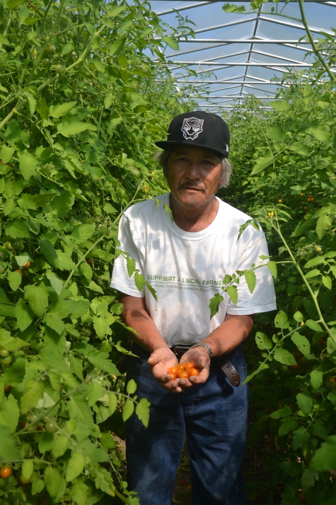 Flygtningelandmænd producerer frugt og grønt til tvillingebyerne