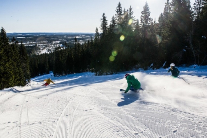 Danskerne vil til Sverige på skiferie.