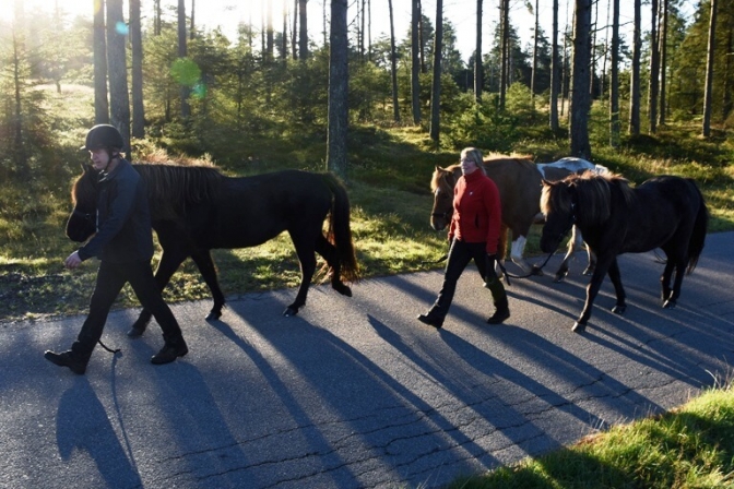 Ridetur i det smukke Vestjylland er godt for sjælen.