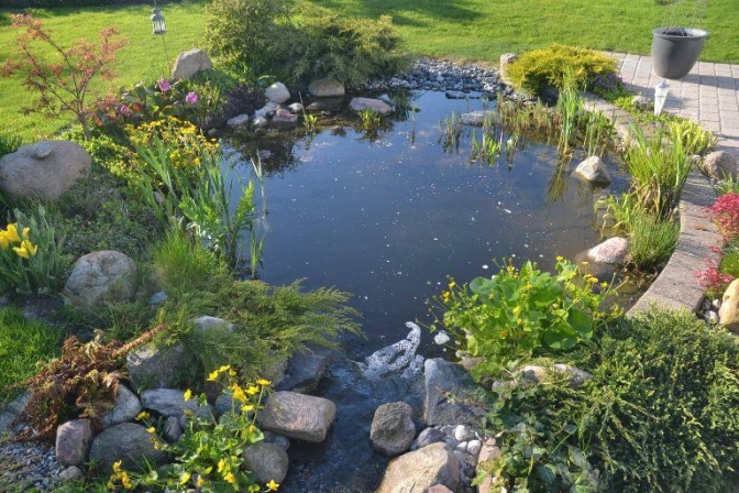 En havedam tilfører haven et lille stykke unik natur.