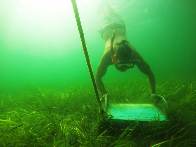 Getteröns bugt med snorkelsti, Halland