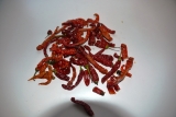 Chilli som vi kender dem - små, men stærke som bare pokker.